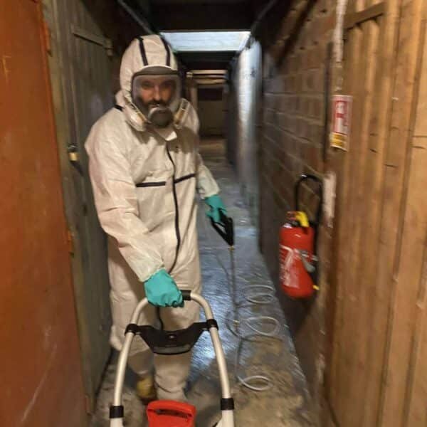 Destruct insectes supprime une invasion de puces dans un immeuble