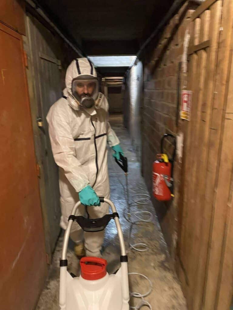 destruct insectes supprime une invasion de puces dans un immeuble