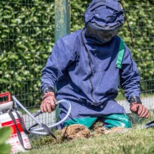 Destruct' insectes expert désinsectisation Intervention pour un nid de guêpes en terre par l'entreprise destruct' Insectes