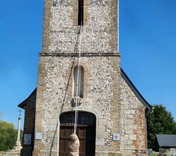 intervention de suppression d un nid de guepe dans une eglise
