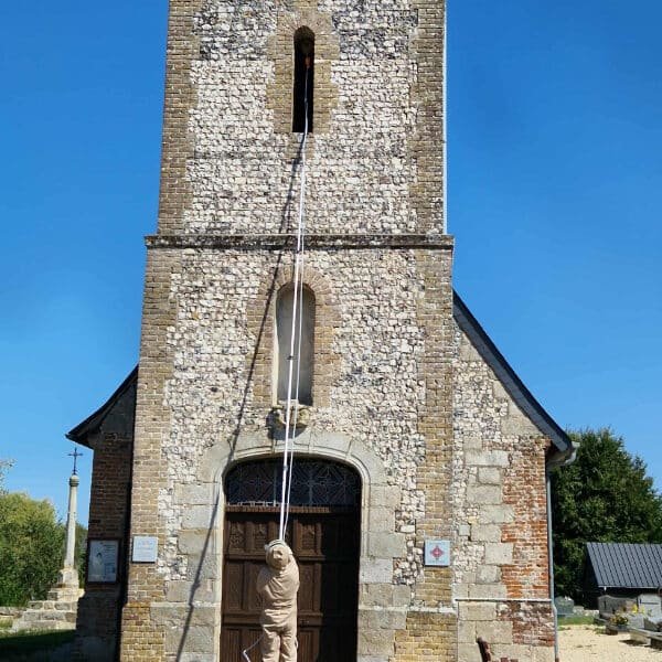 intervention de suppression d un nid de guepe dans une eglise