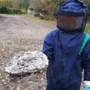 Jeremy lamulle apres intervention pour destruct' insectes AVIS clients