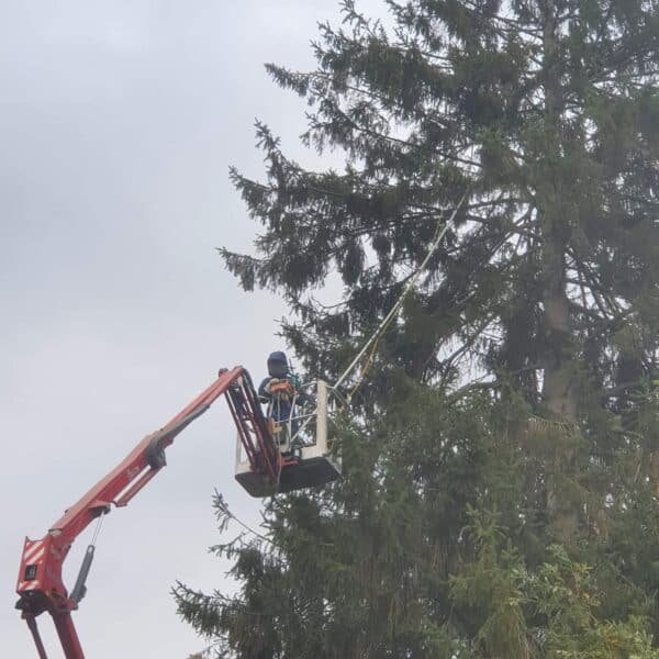 476227296 1085210263408545 8419819730038732949 n