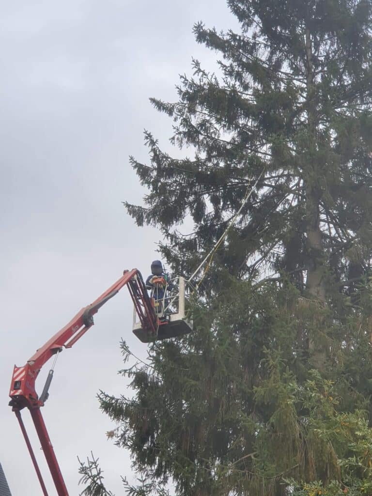 476227296 1085210263408545 8419819730038732949 n