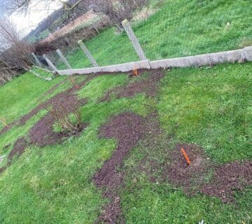 Intervention Taupier Professionnel taupier seine maritime