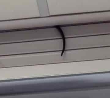 Rats à Dieppe : Queue de rat faux plafond dératisation Dieppe