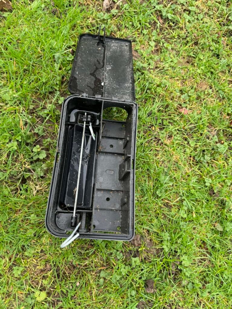 Intervention de dératisation à Rouen avec traitement des rats en périphérie d’une maison et dans les murs d’une habitation. Dératisation rouen
dératisation maison Rouen
rats dans les murs Rouen
dératisation périphérie habitation
traitement rats jardin Rouen
entreprise dératisation Rouen
rats fondations maison
nuisibles Rouen