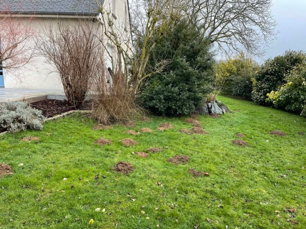 Taupier Barentin, Taupier Seine maritime, Taupes Seine maritime.