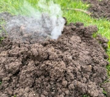 Taupes Rouen taupier Rouen enfumage des galeries taupes traitement taupes jardin machine enfumage taupes lutte contre les taupes 76 taupier agglomération de Rouen taupier Seine Maritime