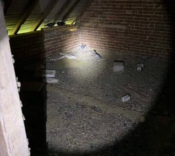 Régulation pigeons secteur Yvetôt, pigeons grenier 76, dépigeonnage Seine Maritime, trappeur pigeons collectivité, intervention pigeons urgence, nuisible pigeons Normandie, entreprise dépigeonnage 76