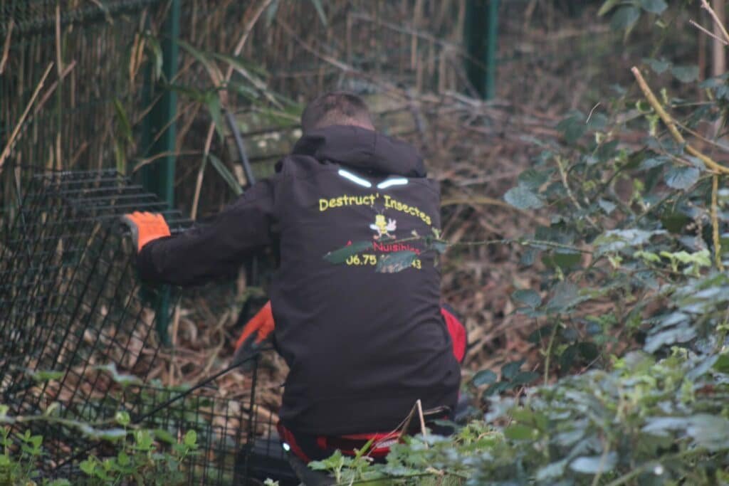 piégeage ragondin secteur Tôte, trappeur ragondin 76, ragondin Seine-Maritime intervention urgente, capture ragondin Normandie, nuisible zone humide 76, entreprise piégeage ragondin, dératisation ragondin Seine-Maritime