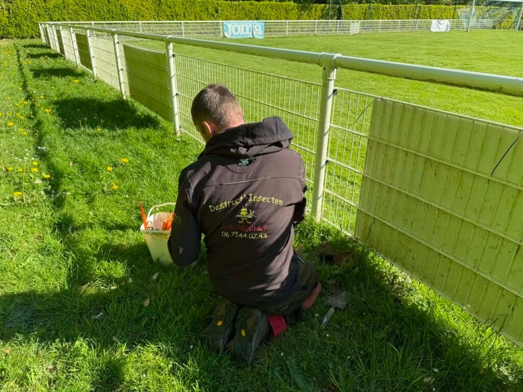 destruct insectes taupes stade municipal 76 Tourville-sur-Arques, intervention taupes stade 76, traitement taupes terrain sportif Seine-Maritime, entreprise nuisibles taupes 76, gestion taupes collectivité