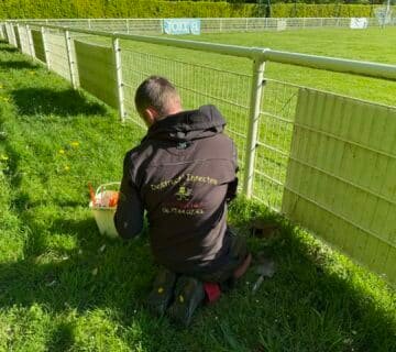 Destruct insectes taupes stade municipal 76 Tourville sur Arques, intervention taupes stade 76, traitement taupes terrain sportif Seine Maritime, entreprise nuisibles taupes 76, gestion taupes collectivité