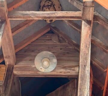 Destruct' Insectes détruisant un nid de frelons à Bacqueville en Caux en Seine maritime 76