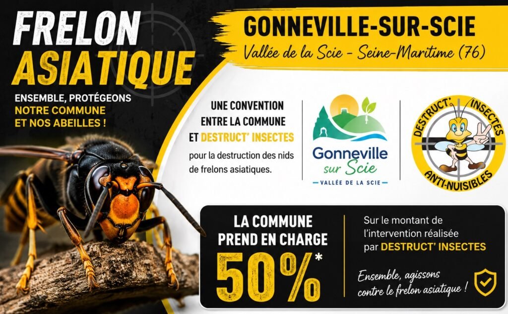 Destruction d'un nid de frelons asiatiques à Gonneville-sur-Scie en Seine-Maritime 76