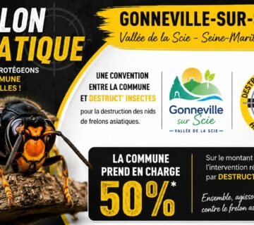 Destruction d'un nid de frelons asiatiques à Gonneville sur Scie en Seine Maritime 76